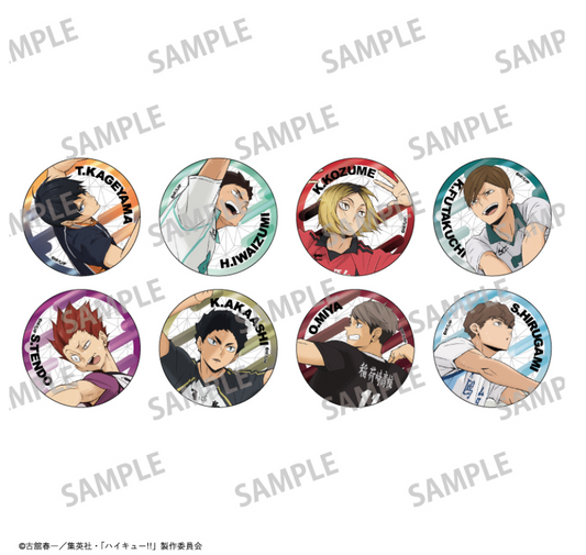 【2025年8月預購】 排球少年 ! 金屬罐徽章 vol.1 & 2 8個裝BOX Kamio日本