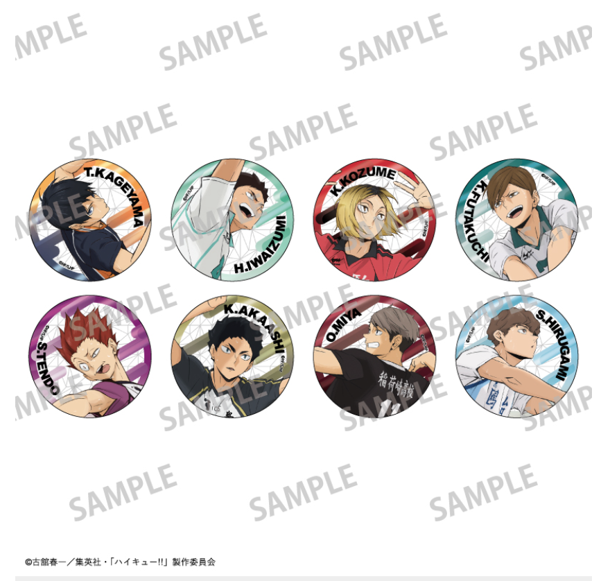 【2025年8月預購】 排球少年 ! 金屬罐徽章 vol.1 & 2 8個裝BOX Kamio日本