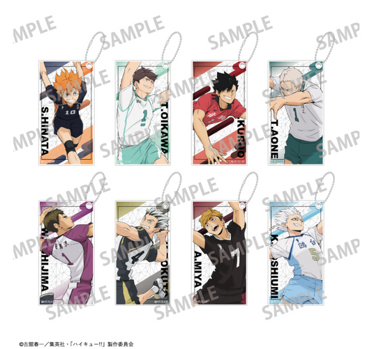 【2025年8月預購】 排球少年 ! Slim Keychain vol.1 & 2 8個裝BOX Kamio日本