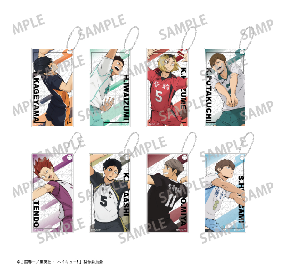 【2025年8月預購】 排球少年 ! Slim Keychain vol.1 & 2 8個裝BOX Kamio日本