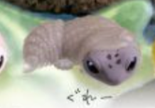 6月扭蛋 可愛豹紋守宮