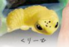 6月扭蛋 可愛豹紋守宮