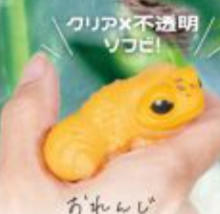 6月扭蛋 可愛豹紋守宮