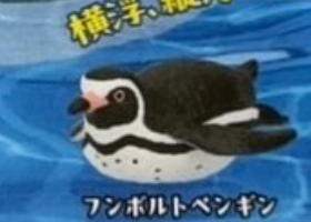 6月扭蛋 PukaPuka企鵝