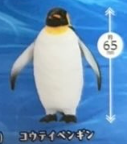6月扭蛋 PukaPuka企鵝