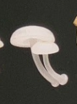 6月扭蛋 發光蘑菇磁鐵