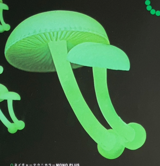 6月扭蛋 發光蘑菇磁鐵