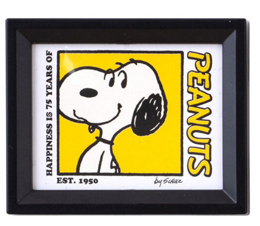 6月扭蛋 PEANUTS 相框磁鐵