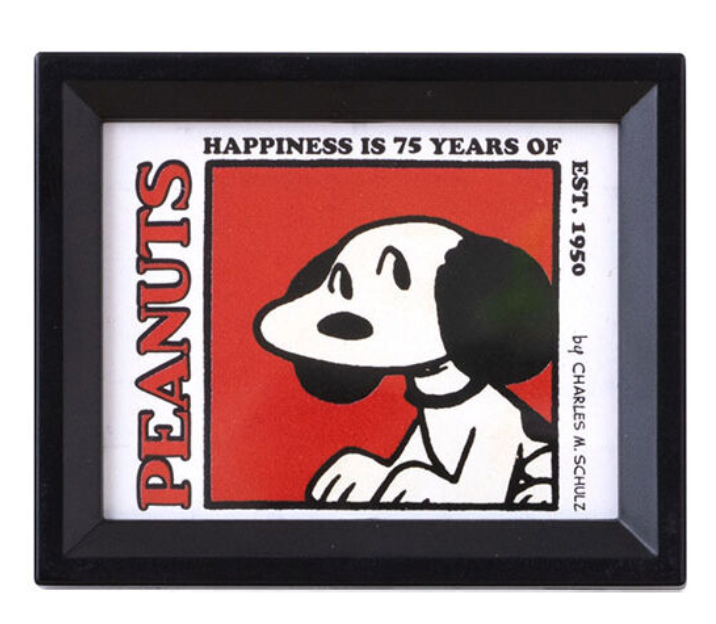 6月扭蛋 PEANUTS 相框磁鐵