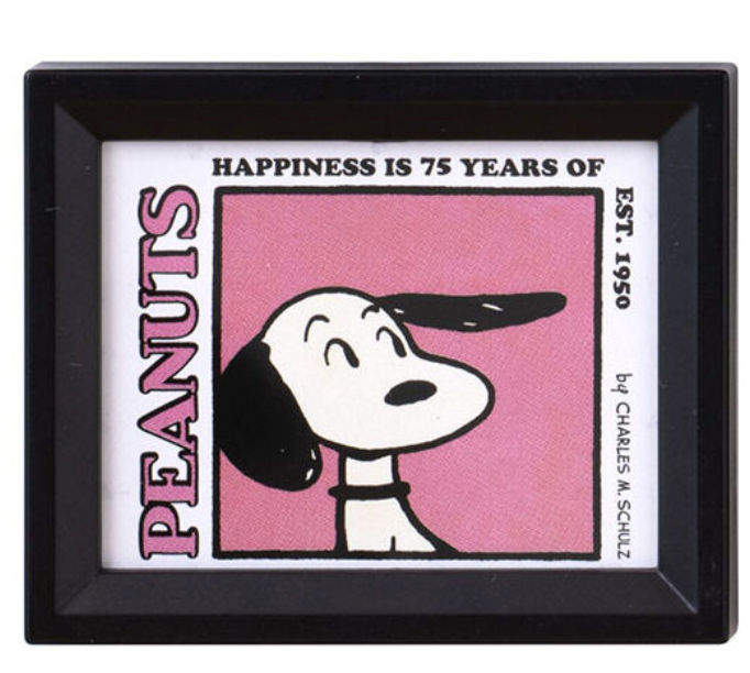 6月扭蛋 PEANUTS 相框磁鐵