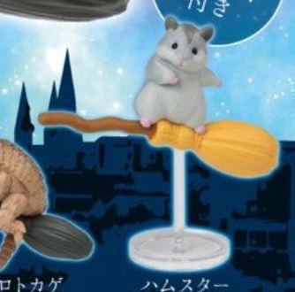 6月扭蛋 飛天掃把 飛天動物