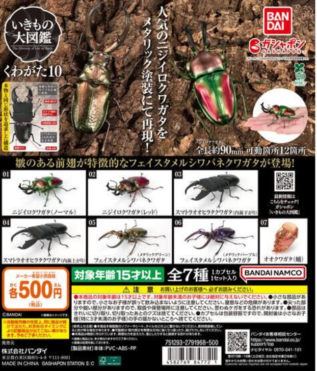 6月扭蛋 生物百科全書:鍬形蟲 10