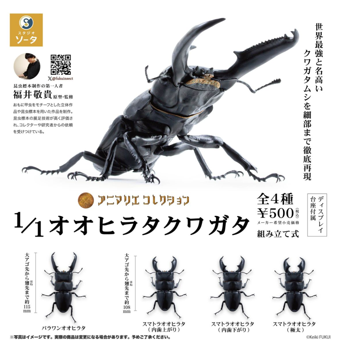 6月扭蛋 巨型牡蠣鍬蟲