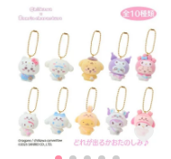 2025 Chiikawa X Sanrio 受注系列 (預計11月到貨)