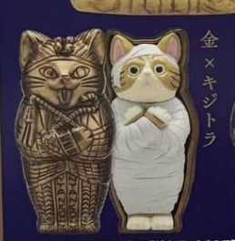 7月扭蛋 木乃伊貓