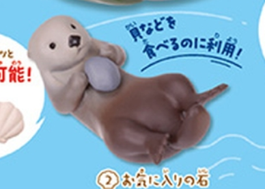 7月扭蛋 扭蛋“海獺”