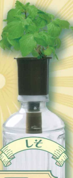 8月扭蛋 瓶子花園~和~