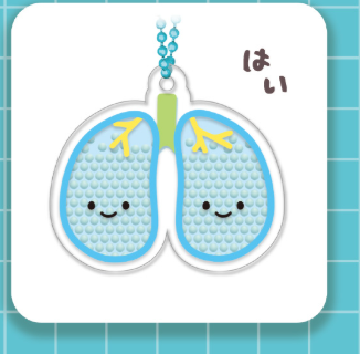 8月扭蛋 Nikorino Healthy Body Shaka Shaka 壓克力鑰匙圈
