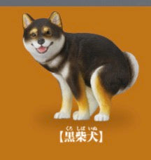 5月扭蛋 狗狗去廁所