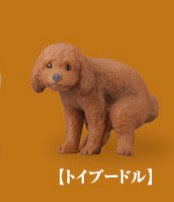 5月扭蛋 狗狗去廁所