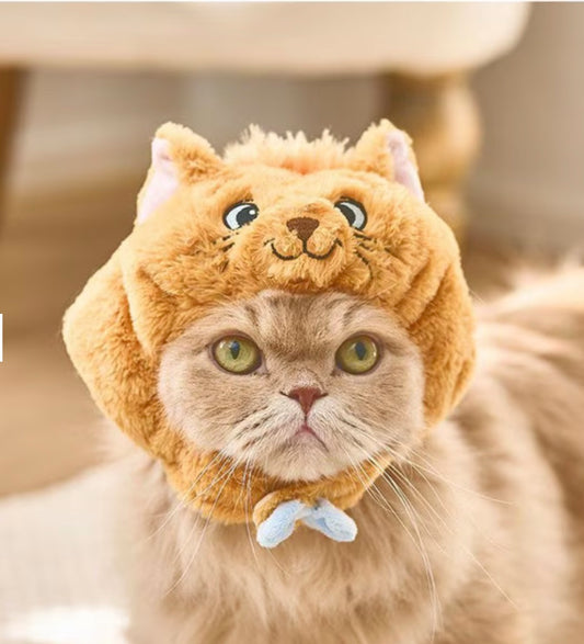 寵物用品 迪士尼 Toulouse 貓帽子 S / M