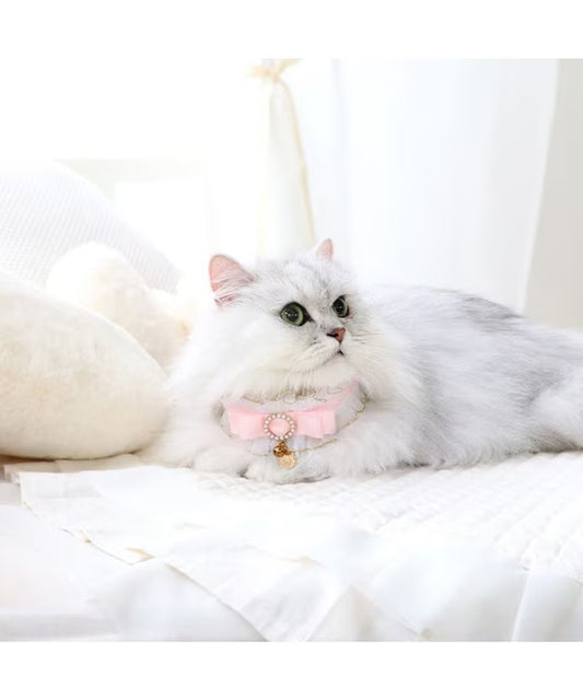 寵物用品 迪士尼 Marie 荷葉邊項圈 S / M