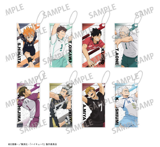 【2025年8月預購】 排球少年 ! Slim Keychain vol.1 & 2 8個裝BOX Kamio日本