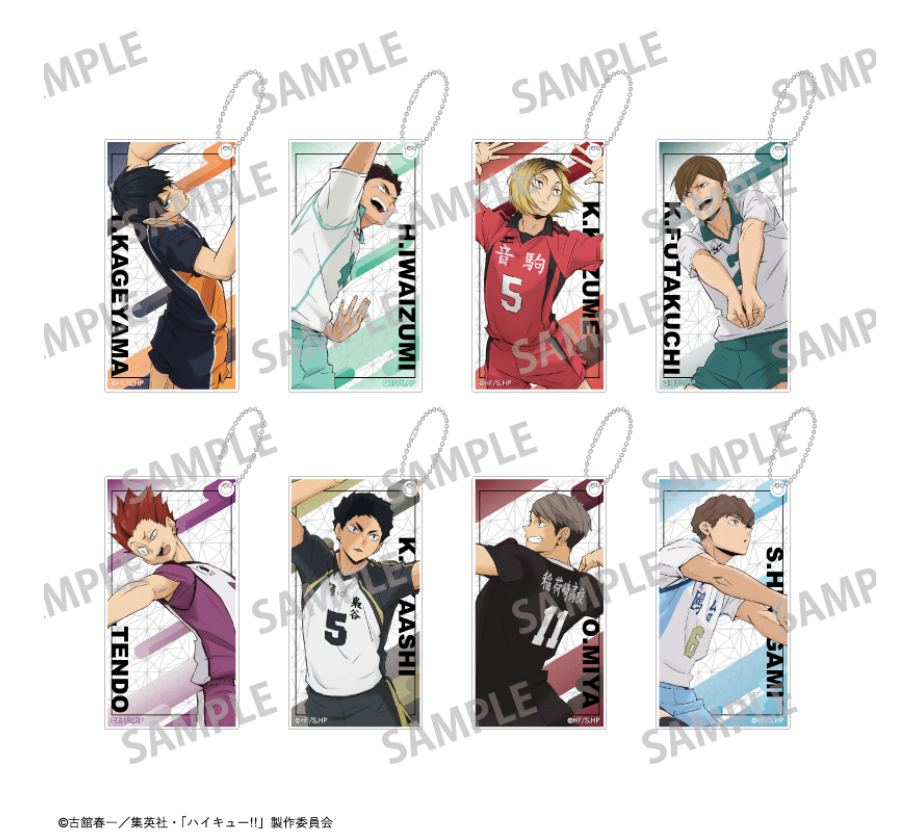 【2025年8月預購】 排球少年 ! Slim Keychain vol.1 & 2 8個裝BOX Kamio日本