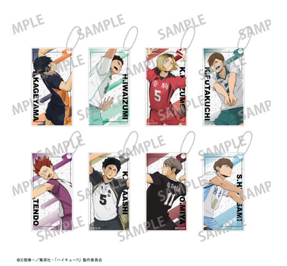 【2025年8月預購】 排球少年 ! Slim Keychain vol.1 & 2 8個裝BOX Kamio日本
