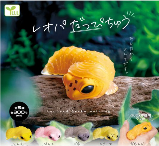 6月扭蛋 可愛豹紋守宮