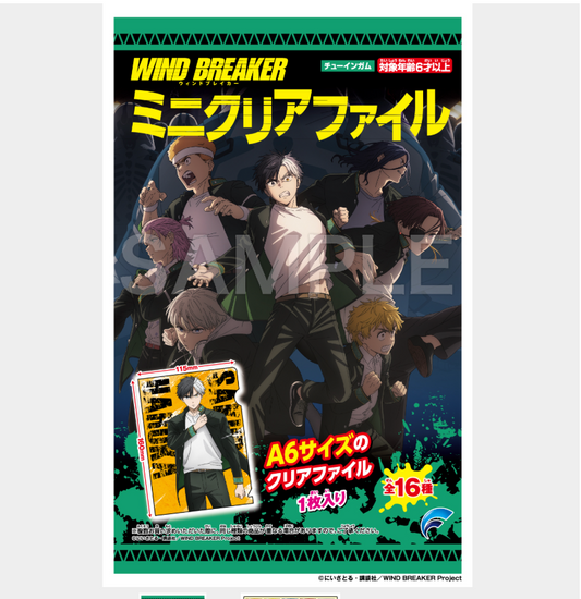【2025年8月預購】 WIND BREAKER 迷你透明資料夾 20個入 盒裝 Forte