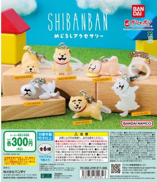 6月扭蛋 石斑斑標誌配件