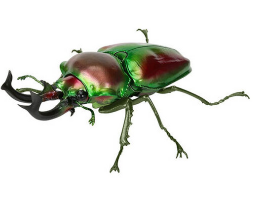 6月扭蛋 生物百科全書：鍬形蟲 10