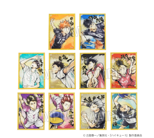 【2025年9月預購】 排球少年！ ！激戰高級壓克力色紙 10 包盒裝