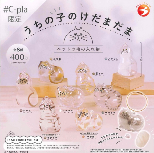 8月扭蛋 《我的孩子是毛玉》限定版