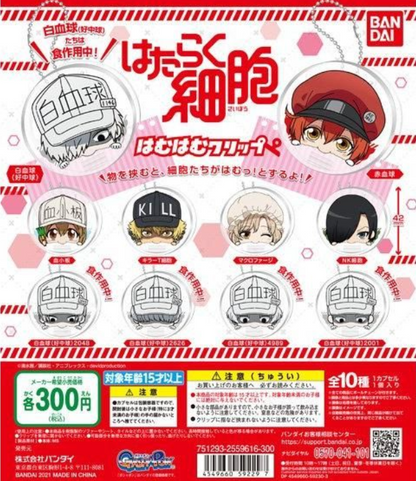 8月扭蛋 工作細胞鎖匙扣