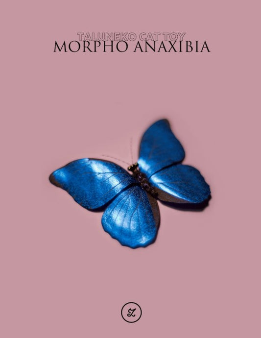 20250929 Donki Fu Cat Toy